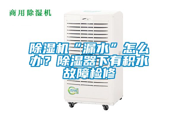 除濕機“漏水”怎么辦？除濕器下有積水故障檢修