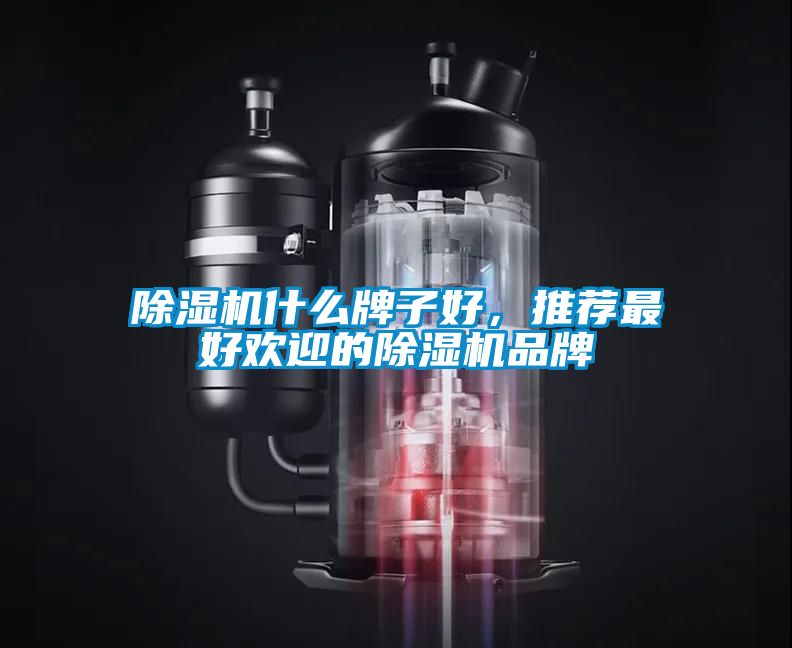 除濕機什么牌子好，推薦最好歡迎的除濕機品牌