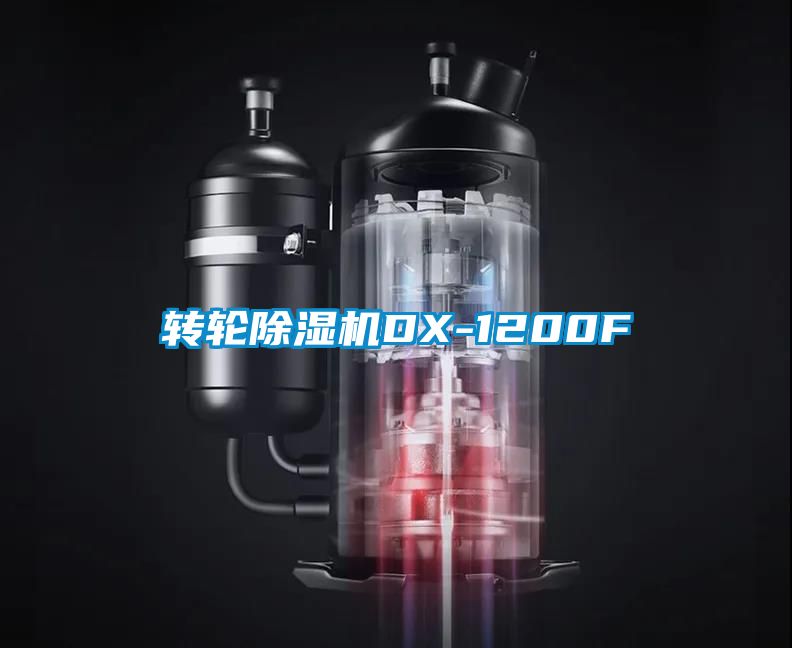 轉(zhuǎn)輪除濕機(jī)DX-1200F