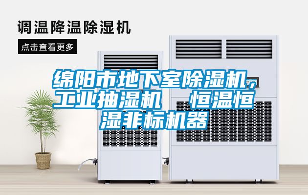 綿陽市地下室除濕機，工業(yè)抽濕機  恒溫恒濕非標機器