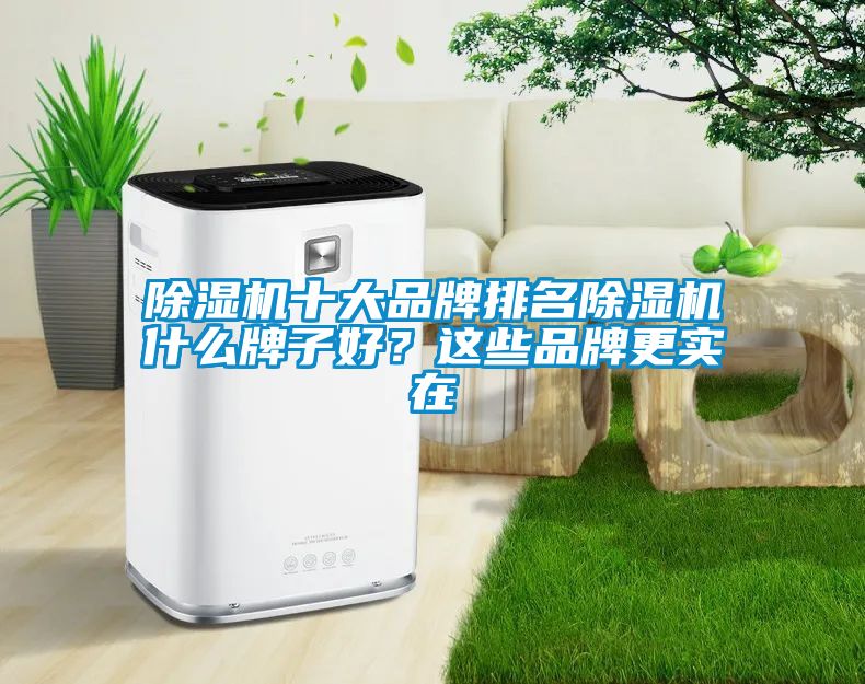 除濕機(jī)十大品牌排名除濕機(jī)什么牌子好？這些品牌更實在