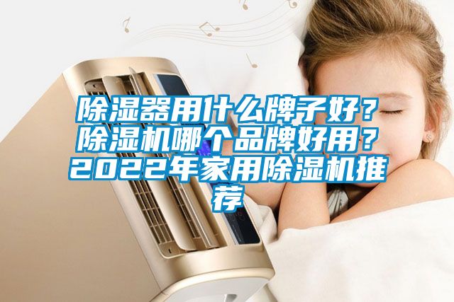 除濕器用什么牌子好？除濕機哪個品牌好用？2022年家用除濕機推薦