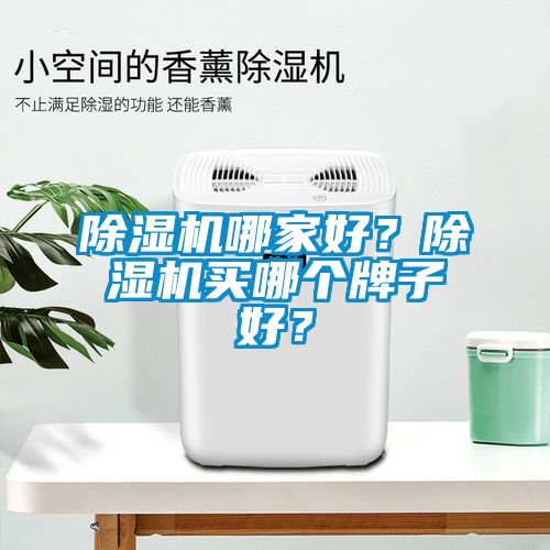 除濕機哪家好？除濕機買哪個牌子好？