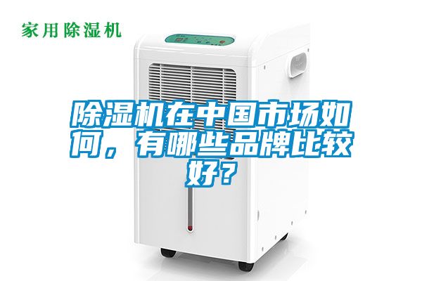 除濕機在中國市場如何，有哪些品牌比較好？