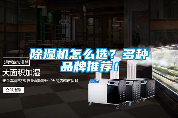 除濕機怎么選？多種品牌推薦！