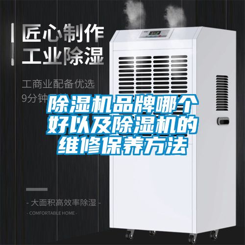 除濕機(jī)品牌哪個(gè)好以及除濕機(jī)的維修保養(yǎng)方法