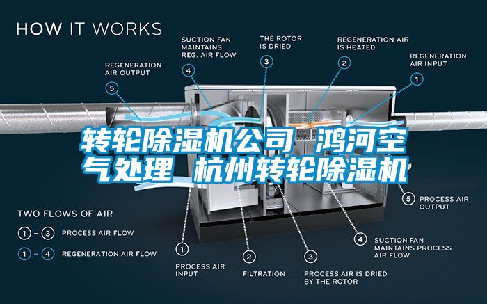 轉(zhuǎn)輪除濕機公司 鴻河空氣處理 杭州轉(zhuǎn)輪除濕機