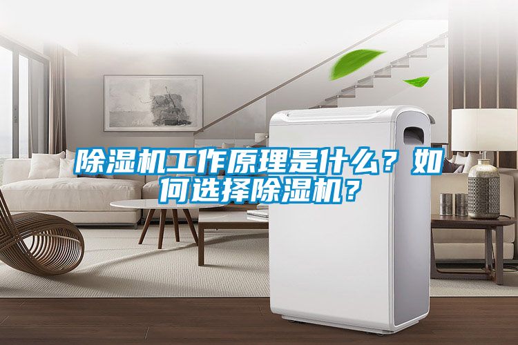 除濕機(jī)工作原理是什么？如何選擇除濕機(jī)？