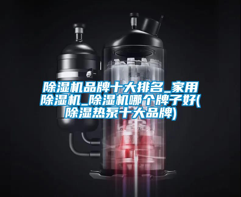 除濕機品牌十大排名_家用除濕機_除濕機哪個牌子好(除濕熱泵十大品牌)