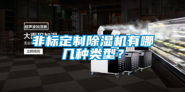 非標定制除濕機有哪幾種類型？