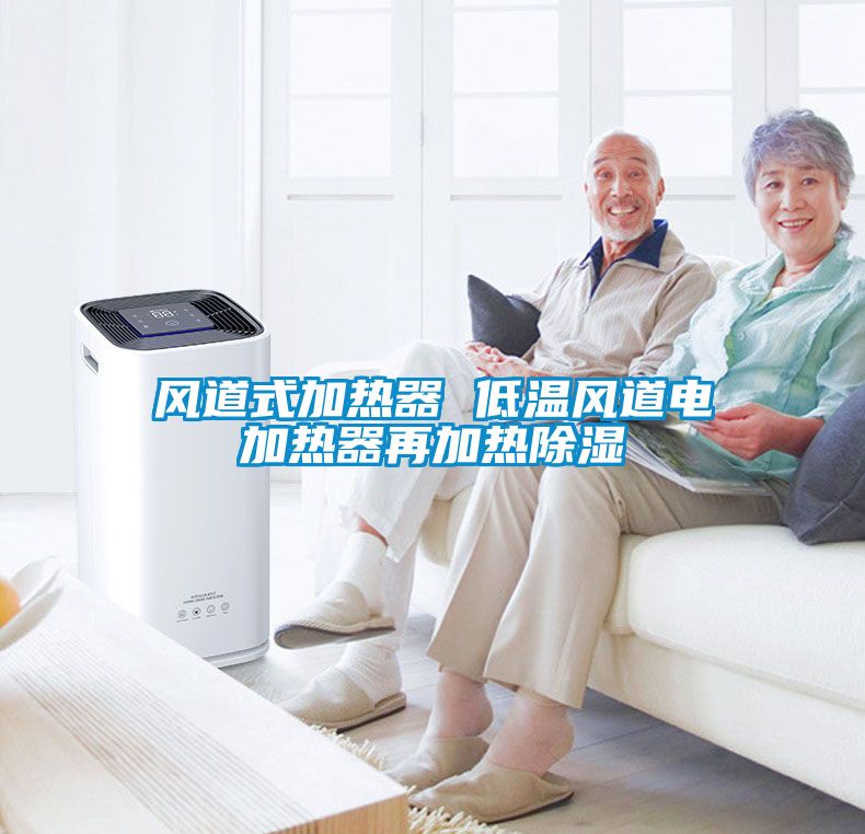 風(fēng)道式加熱器 低溫風(fēng)道電加熱器再加熱除濕