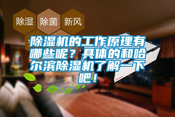 除濕機的工作原理有哪些呢？具體的和哈爾濱除濕機了解一下吧！