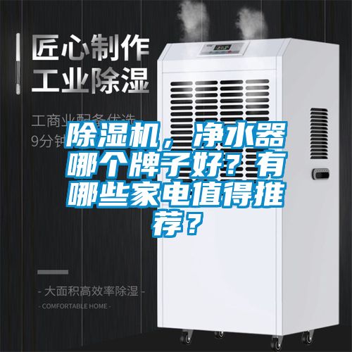 除濕機(jī)，凈水器哪個(gè)牌子好？有哪些家電值得推薦？