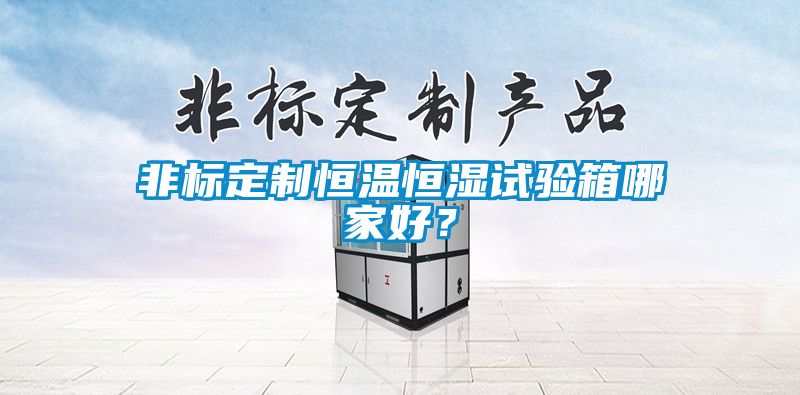 非標(biāo)定制恒溫恒濕試驗箱哪家好？