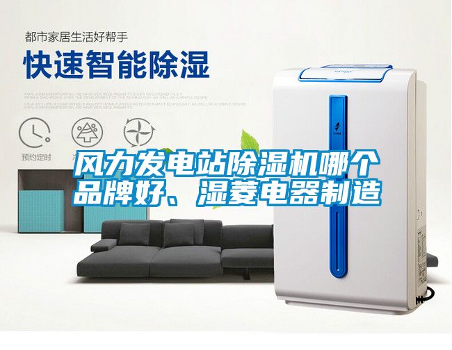 風(fēng)力發(fā)電站除濕機哪個品牌好、濕菱電器制造