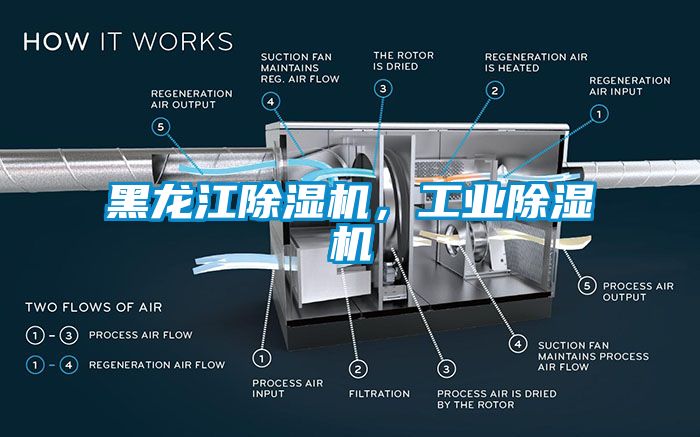 黑龍江除濕機，工業(yè)除濕機