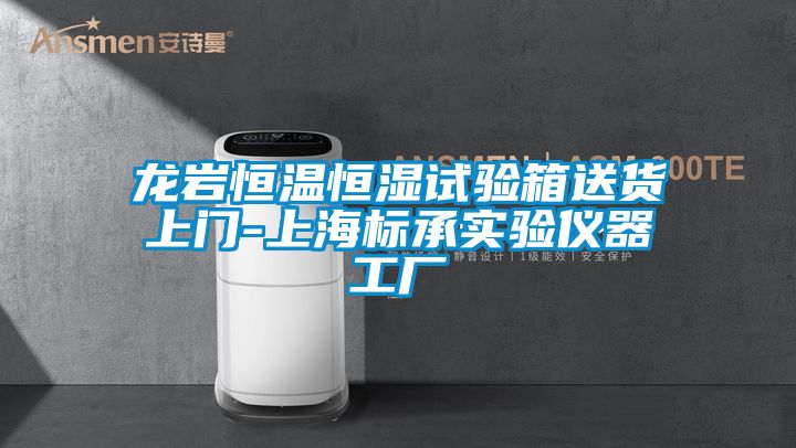 龍巖恒溫恒濕試驗箱送貨上門-上海標(biāo)承實驗儀器工廠