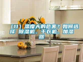 企業(yè)新聞（11）濕度大的危害？如何選擇 除濕機(jī)、干衣機(jī)、加濕器