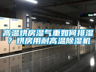 行業(yè)新聞高溫烘房濕氣重如何排濕？烘房用耐高溫除濕機(jī)