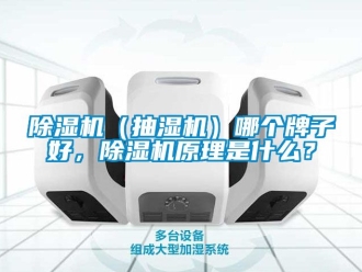 企業(yè)新聞除濕機（抽濕機）哪個牌子好，除濕機原理是什么？