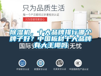 企業(yè)新聞除濕機，十大品牌排行哪個牌子好？中國板材十大品牌有大王椰嗎