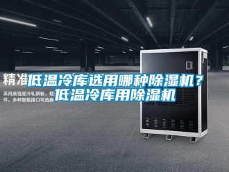 企業(yè)新聞低溫冷庫選用哪種除濕機？低溫冷庫用除濕機