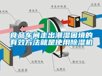 企業(yè)新聞食品車間走出潮濕困境的有效方法就是使用除濕機