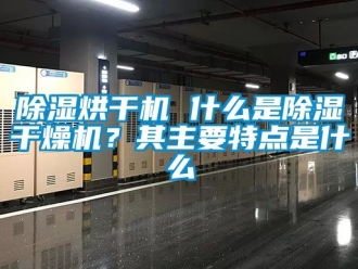 企業(yè)新聞除濕烘干機(jī) 什么是除濕干燥機(jī)？其主要特點(diǎn)是什么