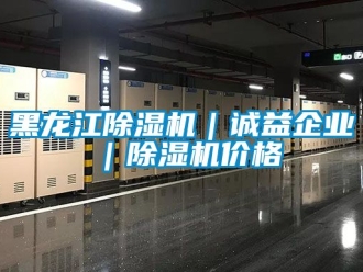 企業(yè)新聞黑龍江除濕機(jī)｜誠(chéng)益企業(yè)｜除濕機(jī)價(jià)格