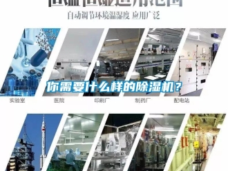 行業(yè)新聞你需要什么樣的除濕機(jī)？