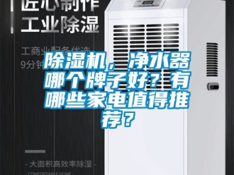 企業(yè)新聞除濕機，凈水器哪個牌子好？有哪些家電值得推薦？