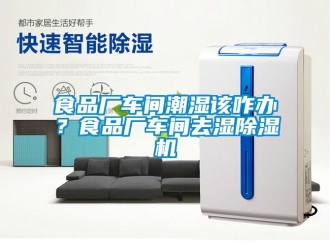 企業(yè)新聞食品廠車間潮濕該咋辦？食品廠車間去濕除濕機(jī)